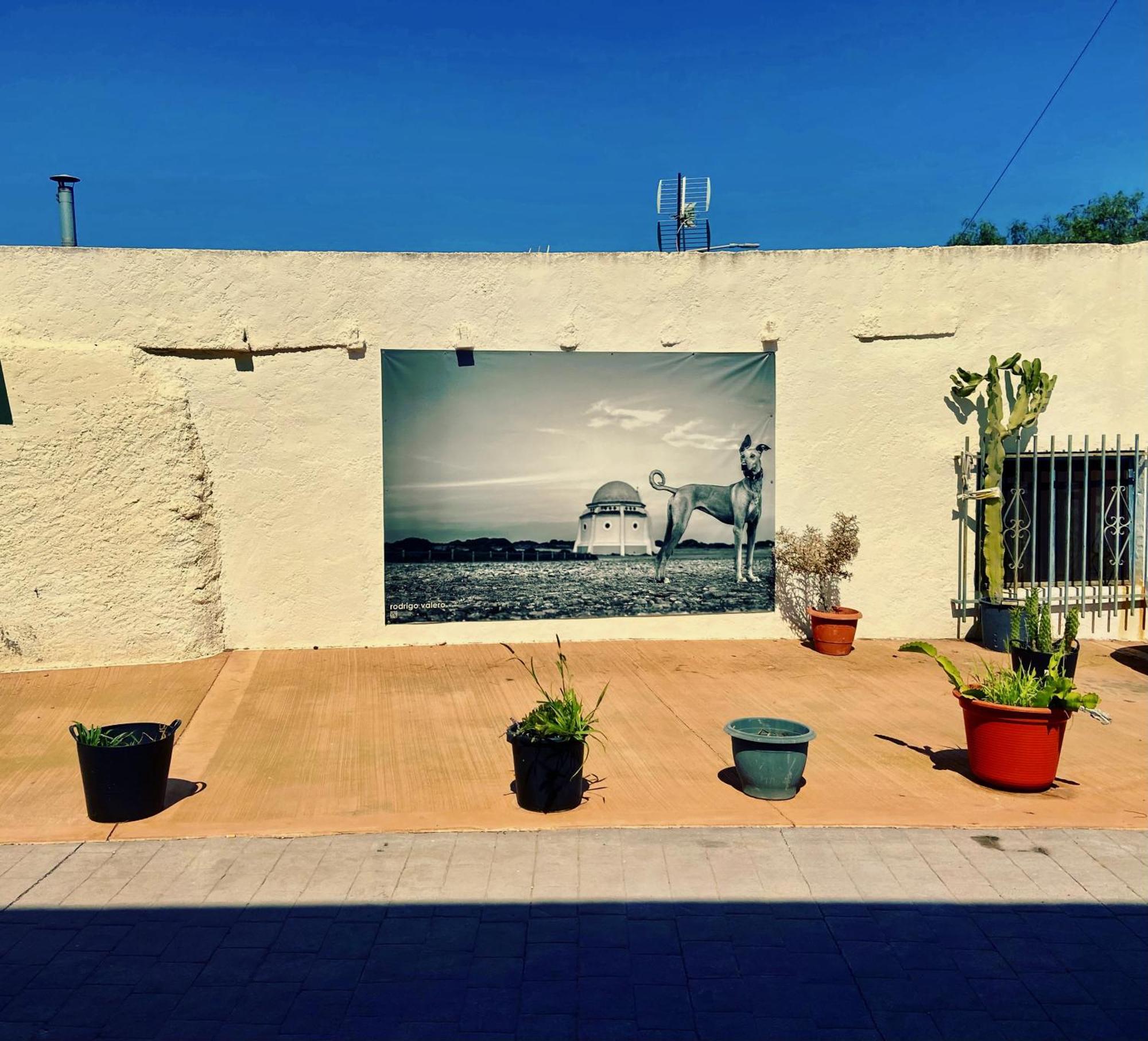 Oro Y Luz Apart otel Rodalquilar Dış mekan fotoğraf